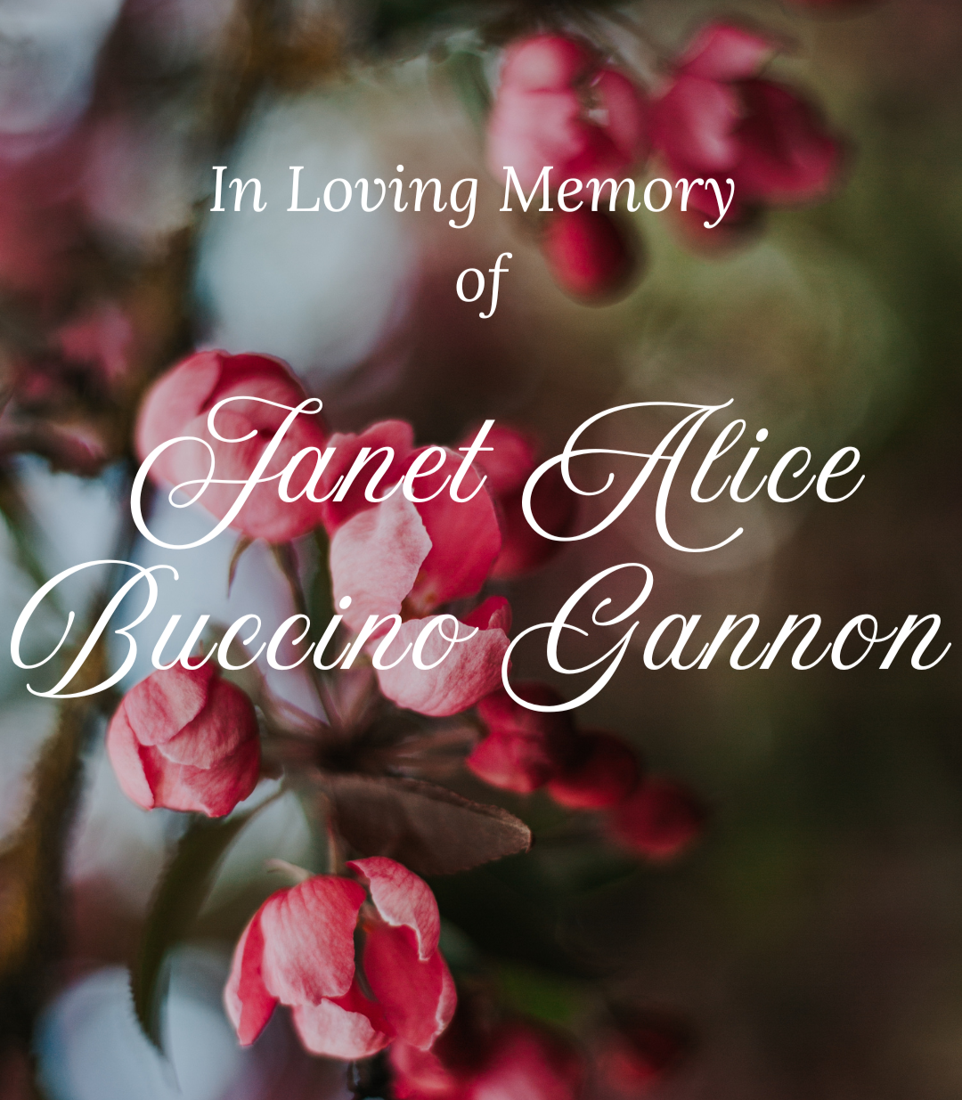Photo of Janet Buccino Gannon