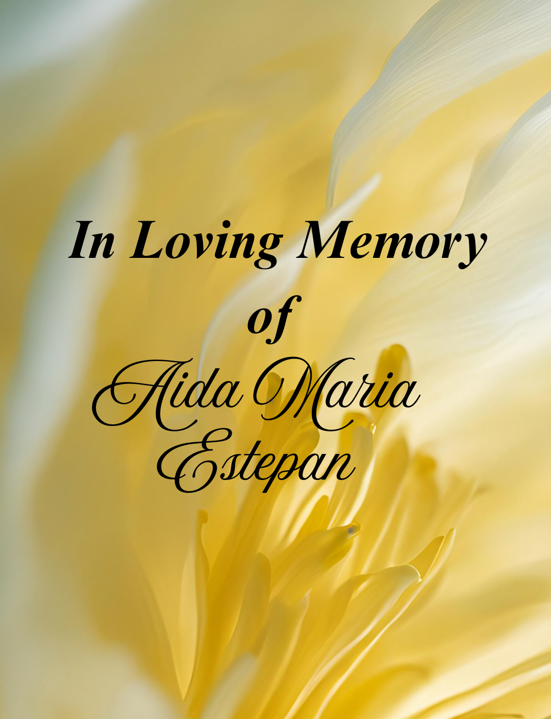 Photo of Aida Estepan